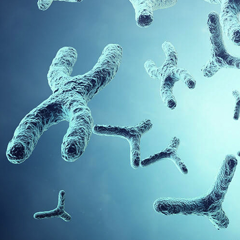 Цитогенетические методы диагностики хромосомных болезней